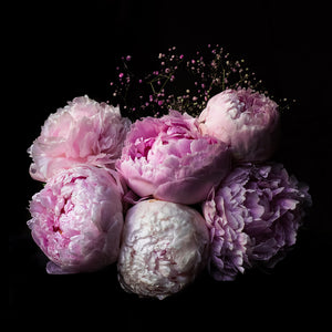 Lavender Peony - Kreamy Soaps